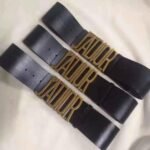 Belt#29