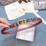 Belt#25